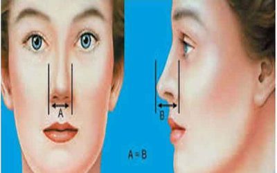 معیارهای زیبایی بینی